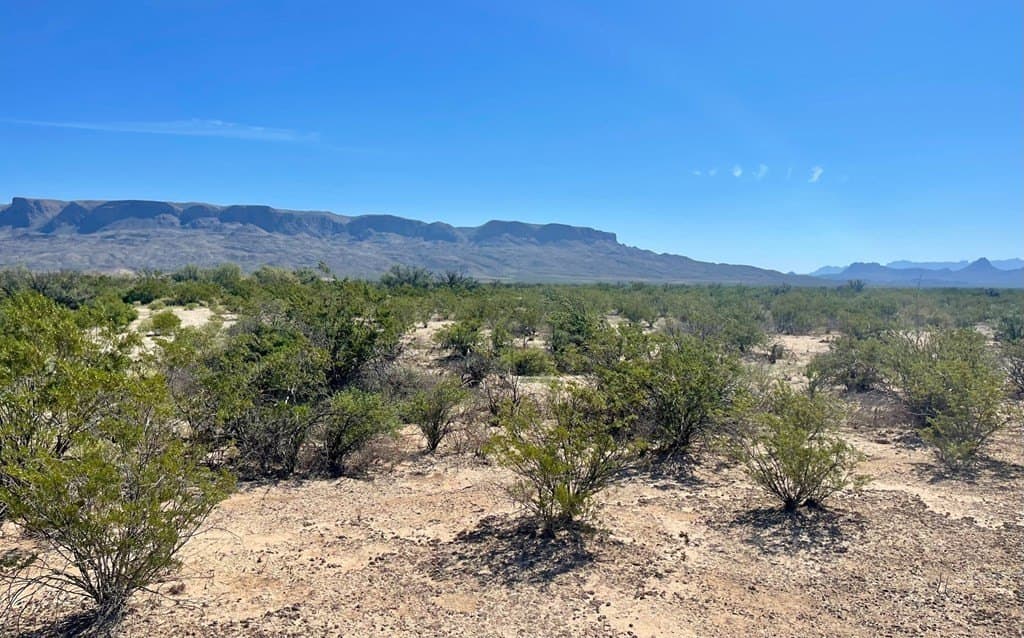 16 acres in Brewster County - photo 7