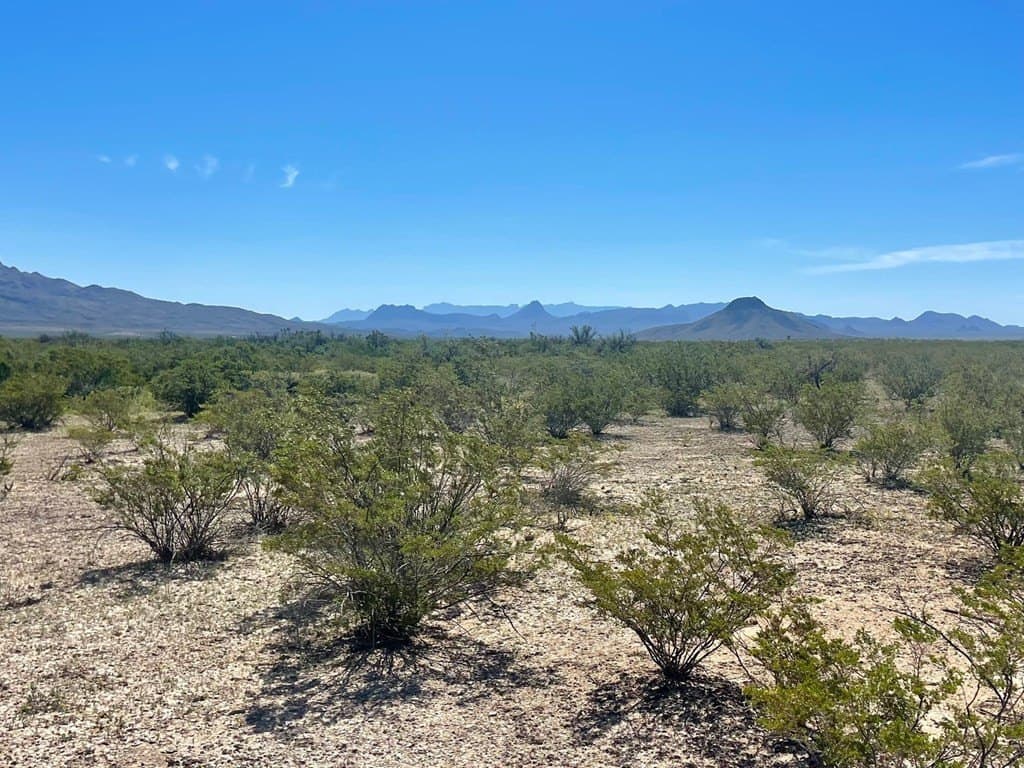 16 acres in Brewster County - photo 10