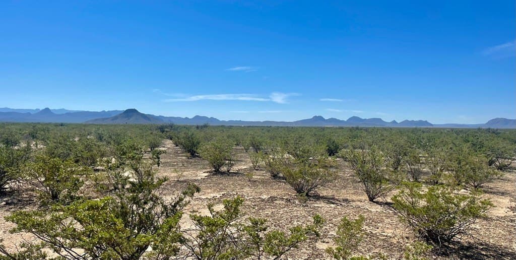 16 acres in Brewster County - photo 5