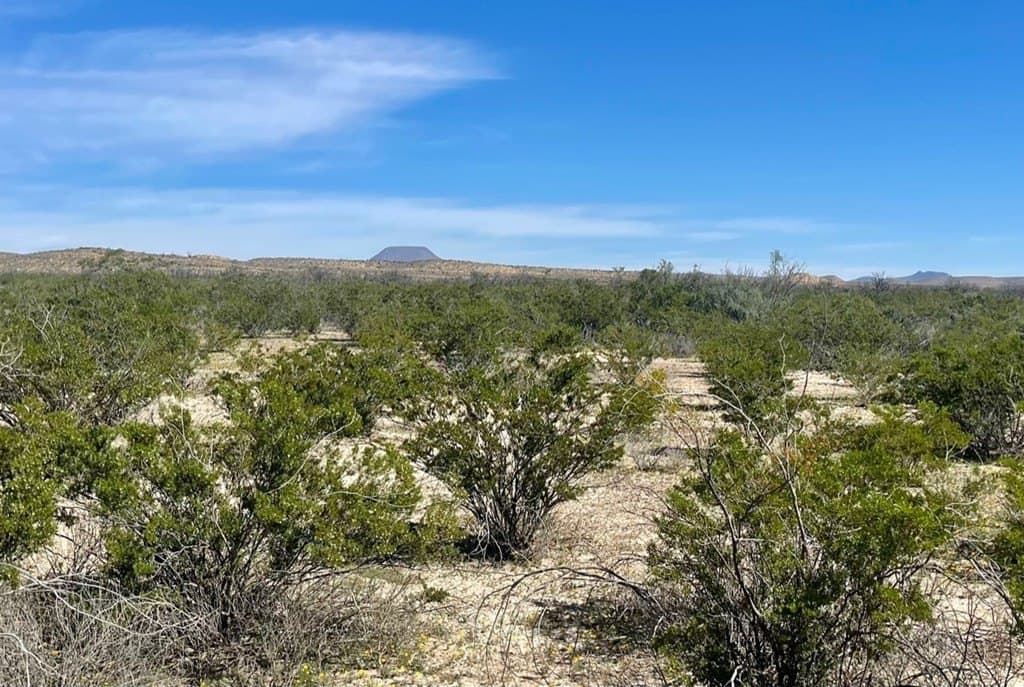 16 acres in Brewster County - photo 3