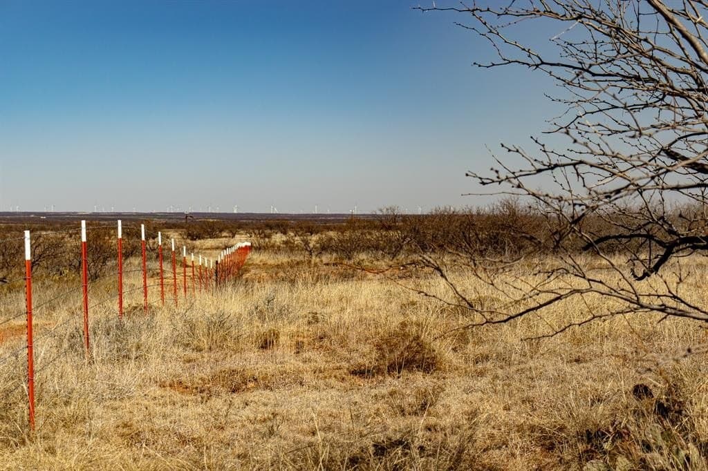 167 acres in Baylor County - photo 21