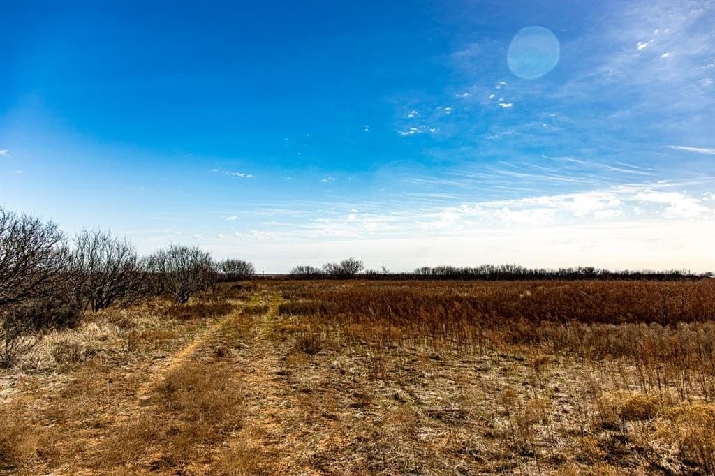 167 acres in Baylor County - photo 25