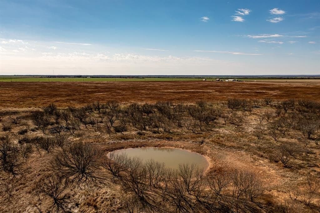 167 acres in Baylor County - photo 5