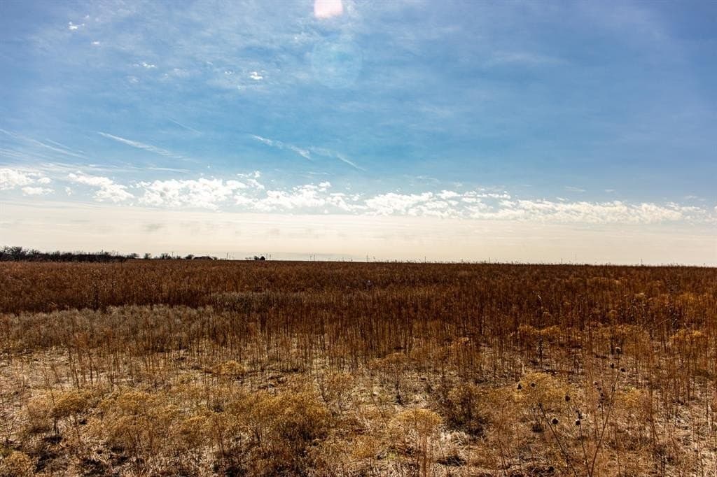 167 acres in Baylor County - photo 26