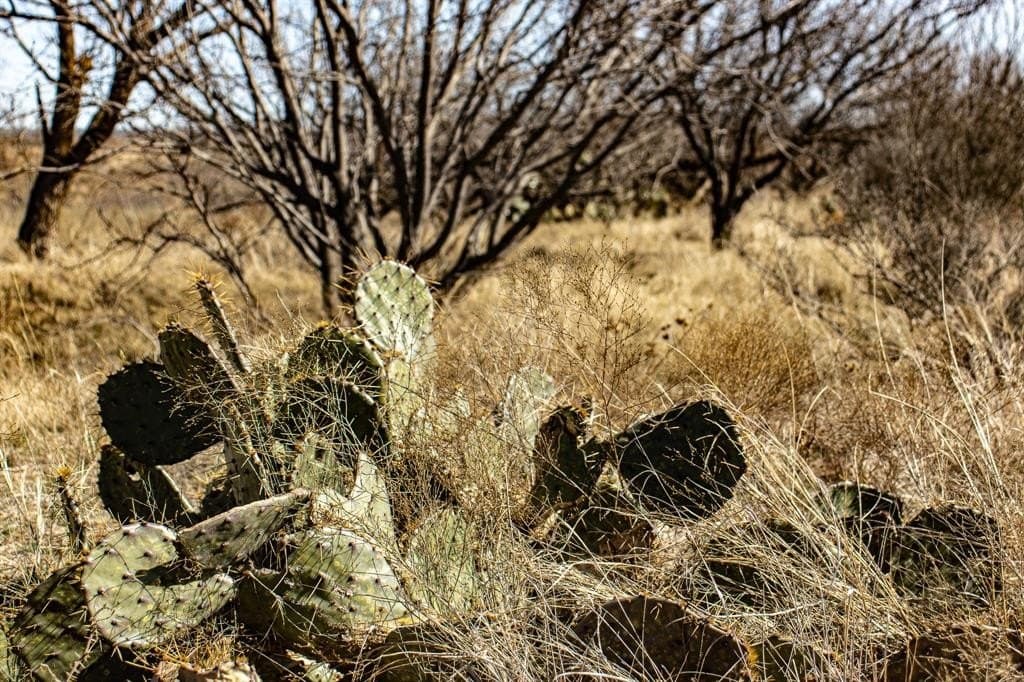 167 acres in Baylor County - photo 30