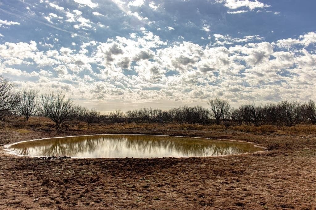 167 acres in Baylor County - photo 8