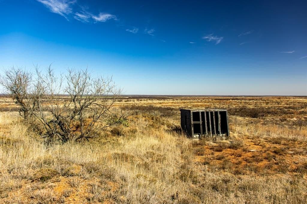 167 acres in Baylor County - photo 23
