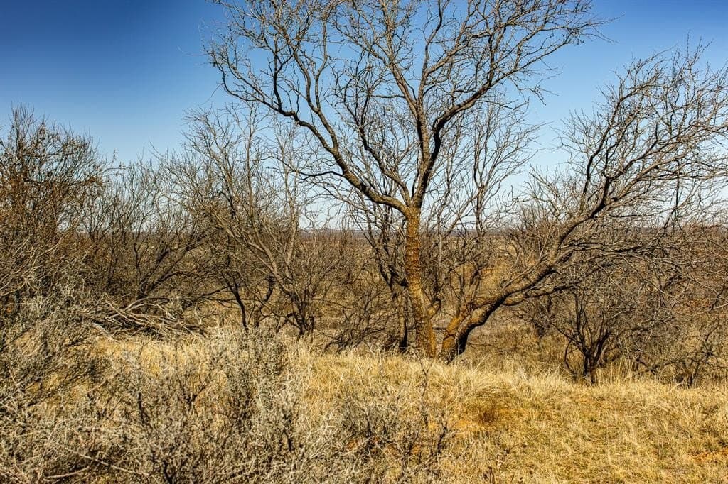 167 acres in Baylor County - photo 27