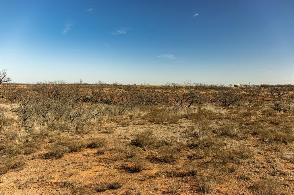 167 acres in Baylor County - photo 17
