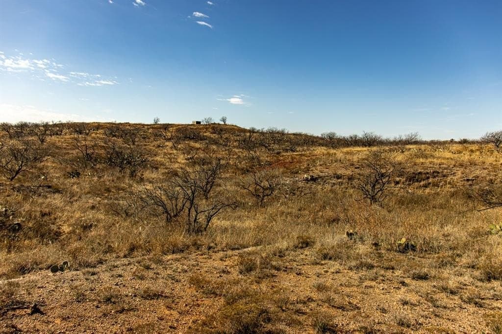 167 acres in Baylor County - photo 16