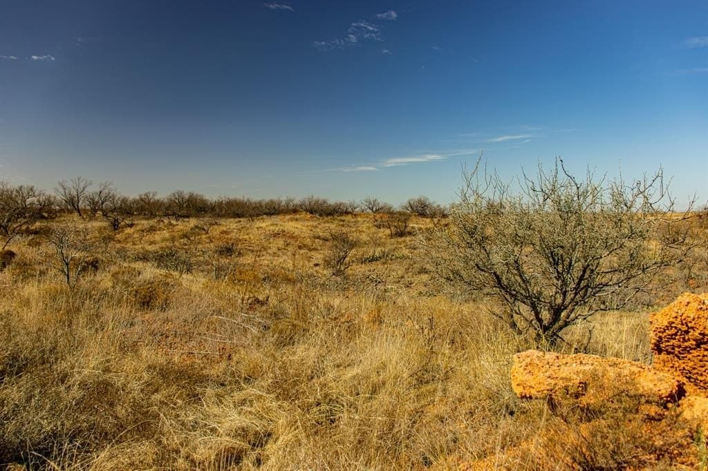 167 acres in Baylor County - photo 14