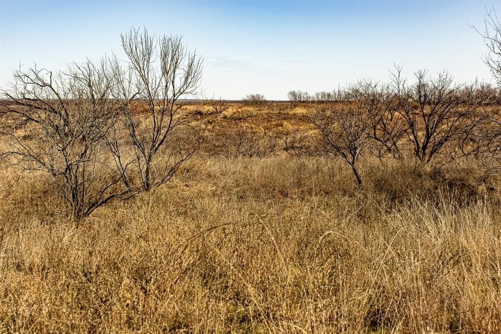 167 acres in Baylor County - photo 28