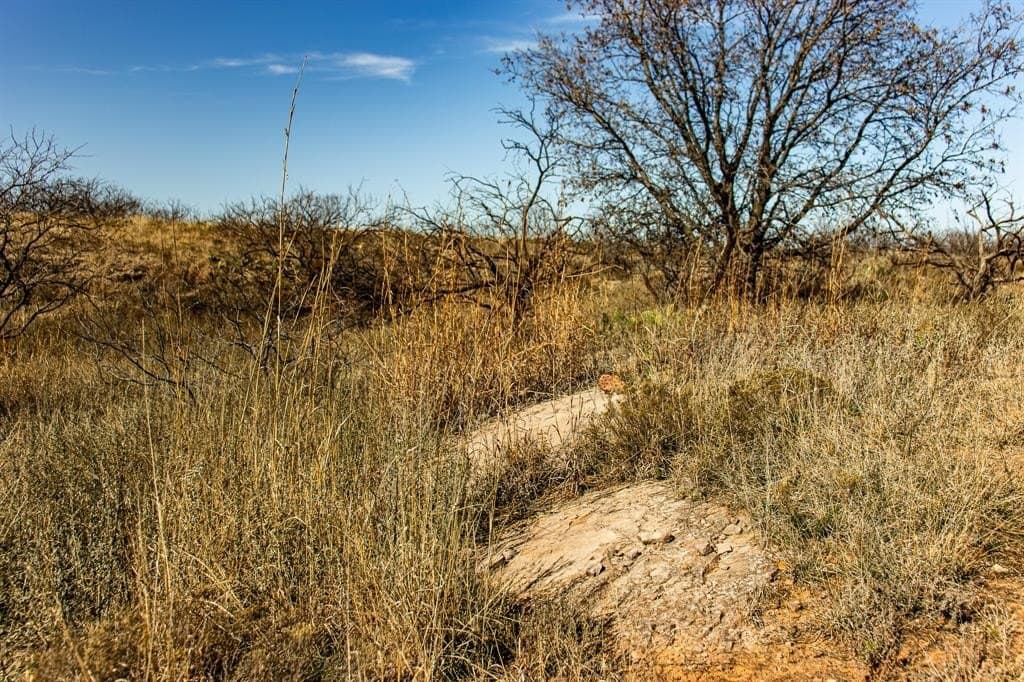 167 acres in Baylor County - photo 18