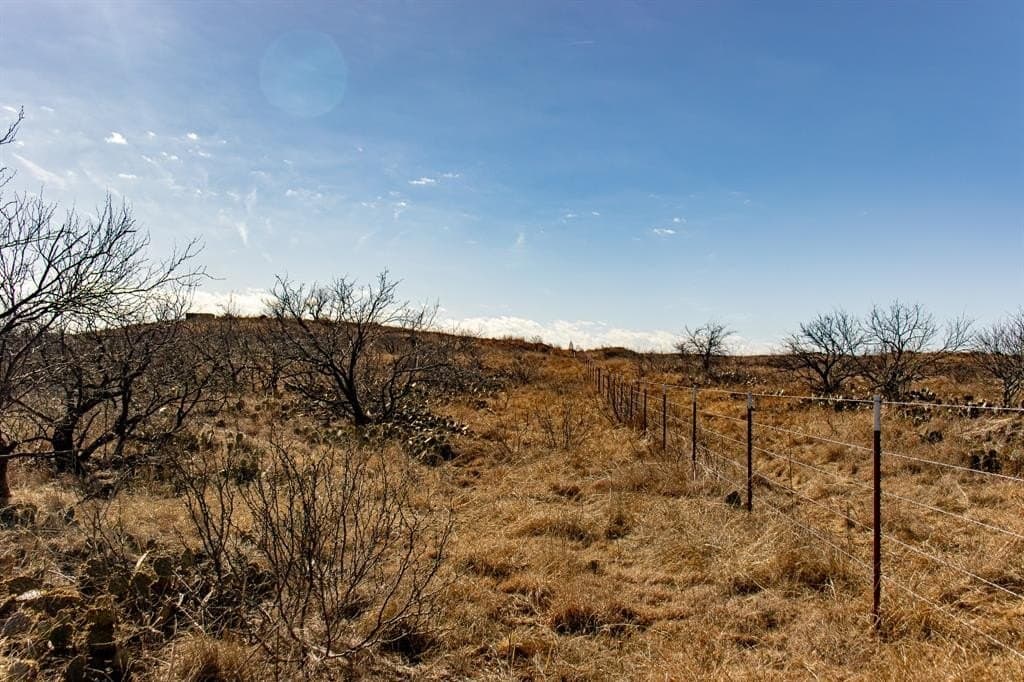 167 acres in Baylor County - photo 20