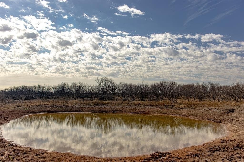 167 acres in Baylor County - photo 6