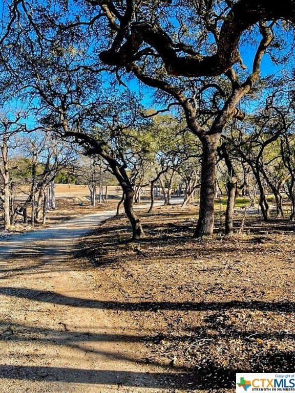 32.36 acres in Comal County - photo 16