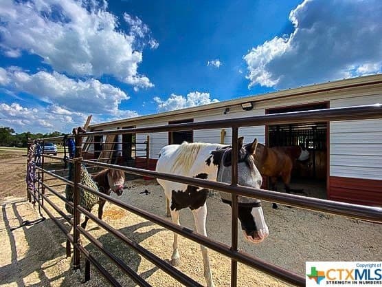 32.36 acres in Comal County - photo 6