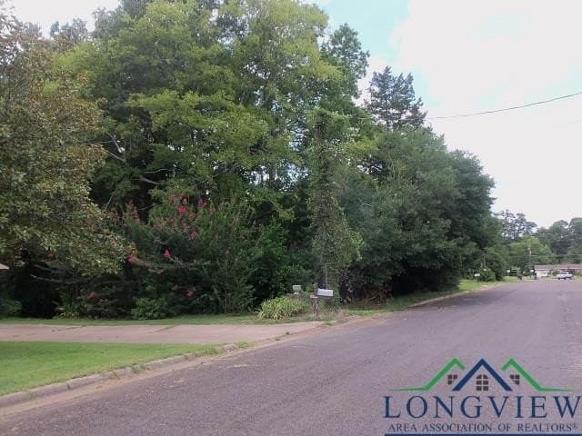 0.36 acres in Texas County - photo 7