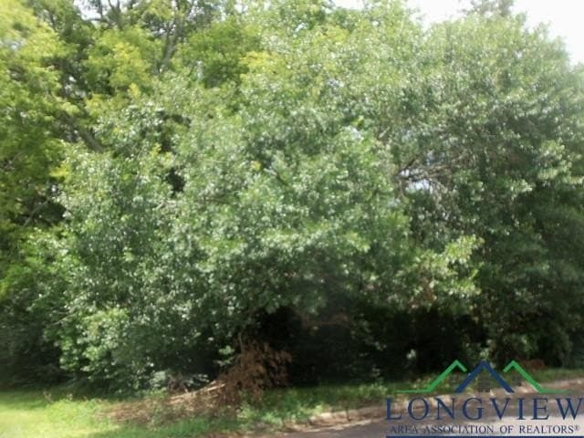 3411 Larkspur Lane