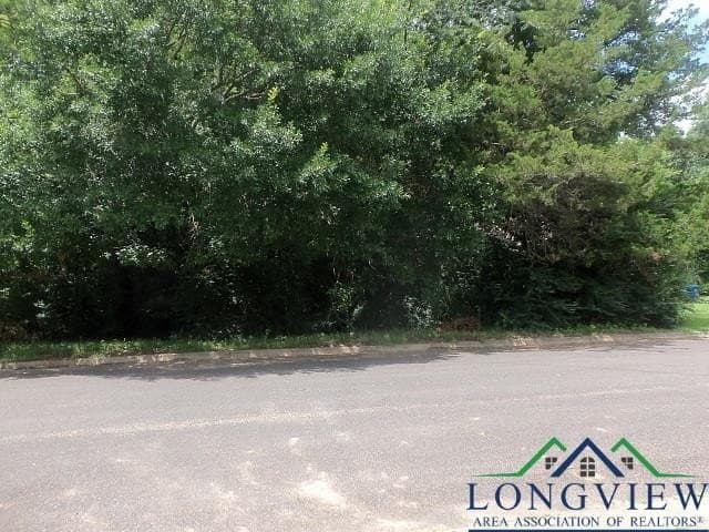 0.36 acres in Texas County - photo 4