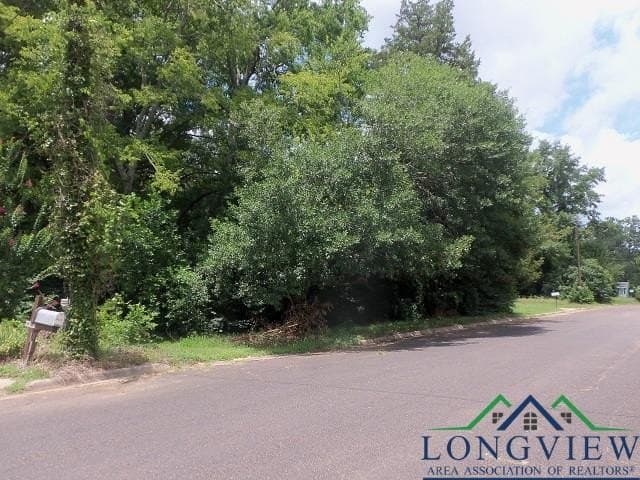 0.36 acres in Texas County - photo 5