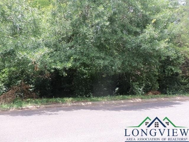 0.36 acres in Texas County - photo 2