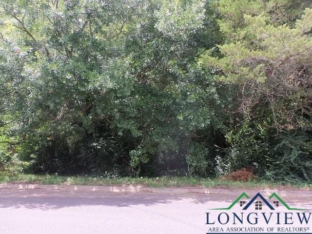0.36 acres in Texas County - photo 3