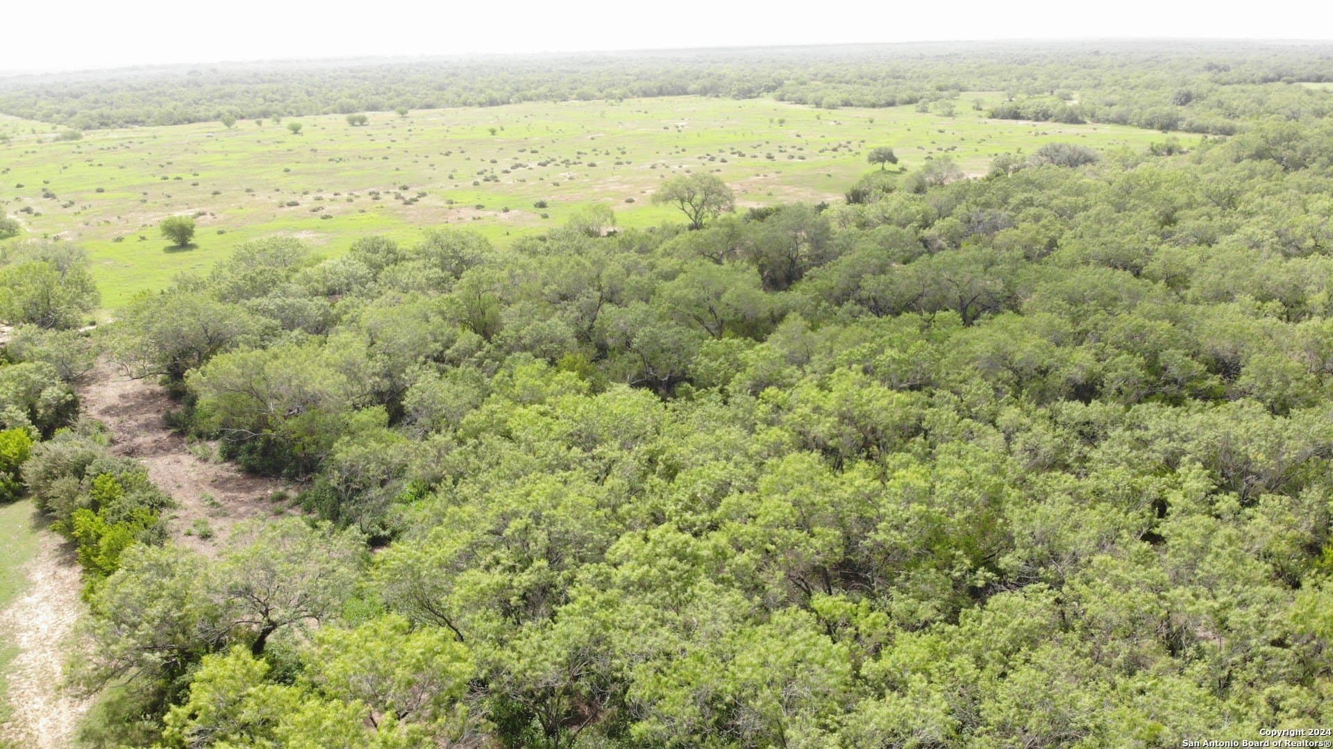 0.64 acres in Atascosa County - photo 3
