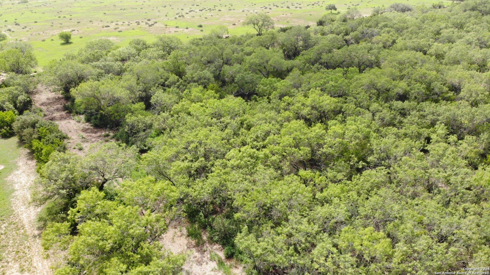 0.64 acres in Atascosa County - photo 4
