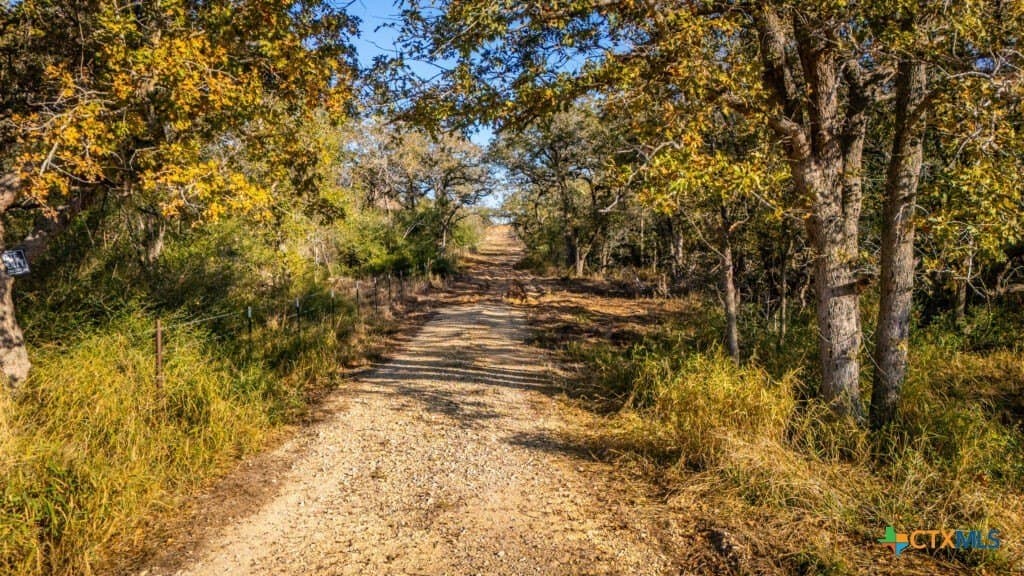42.59 acres in Gonzales County - photo 4