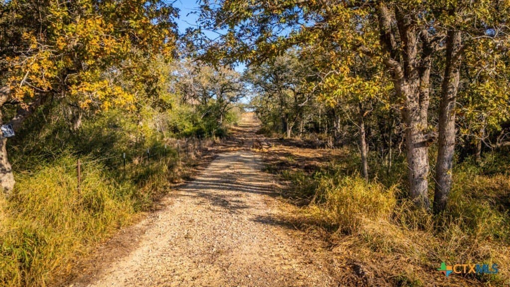 42.59 acres in Gonzales County - photo 5