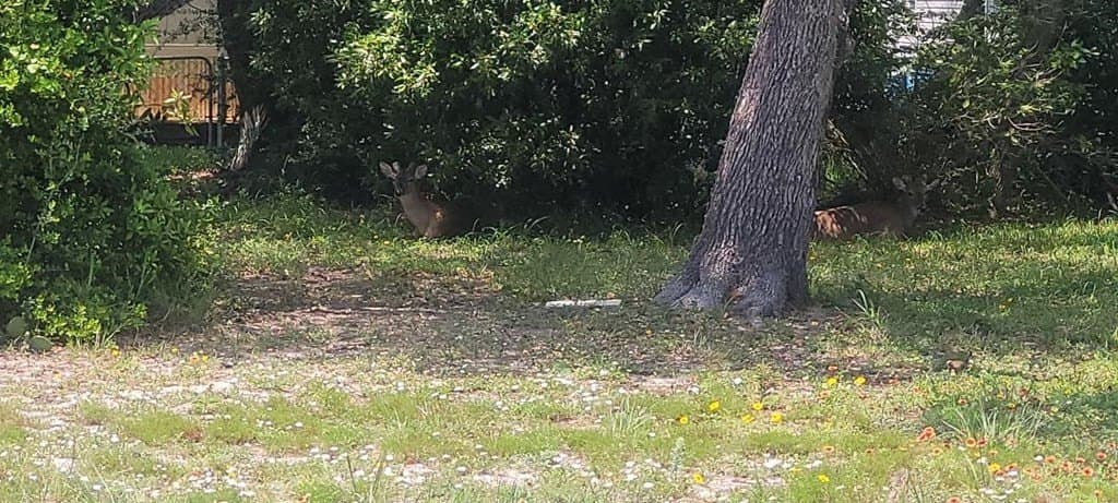 0 acres in Texas County - photo 9