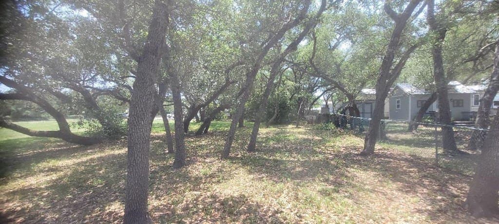 0 acres in Texas County - photo 4