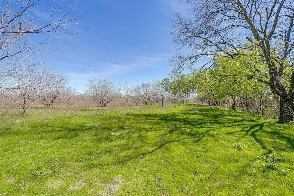 75 acres in Ellis County - photo 14