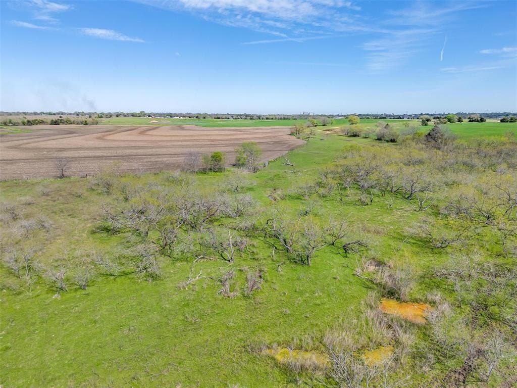 75 acres in Ellis County - photo 8