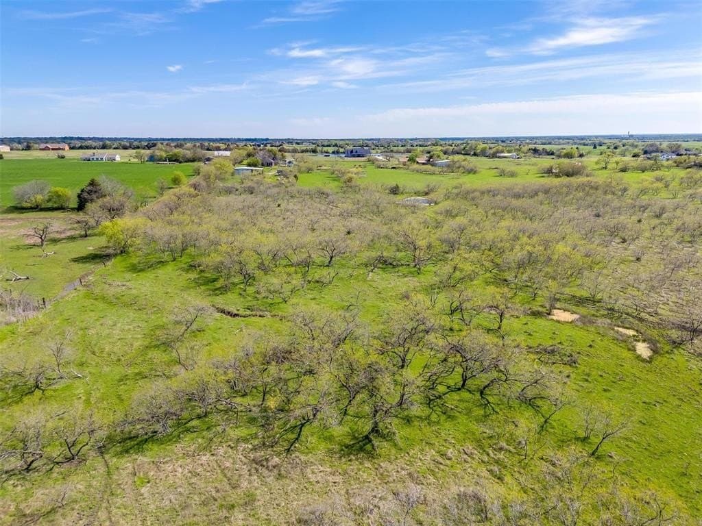 75 acres in Ellis County - photo 9