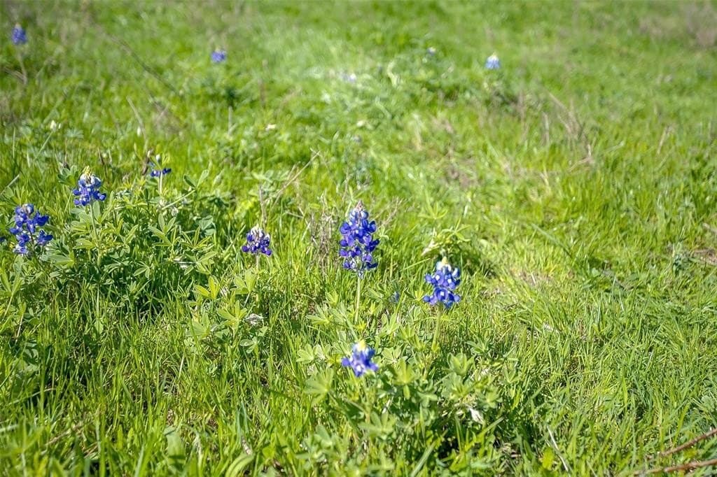 75 acres in Ellis County - photo 19