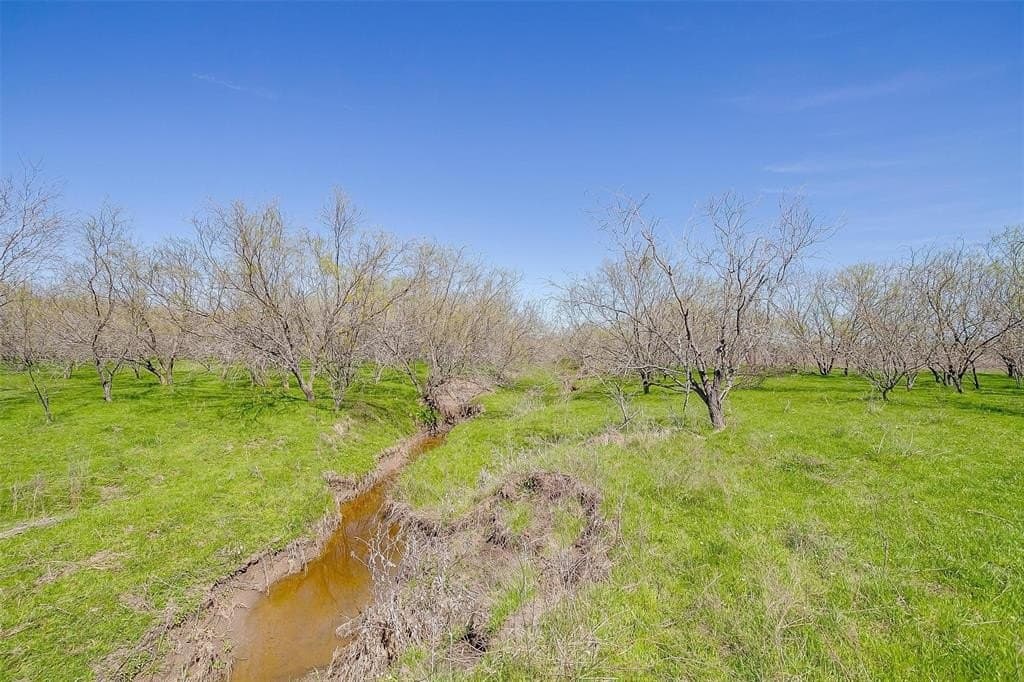 75 acres in Ellis County - photo 16