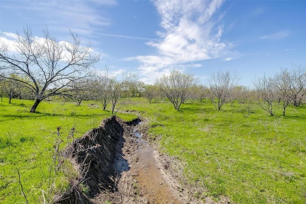 75 acres in Ellis County - photo 17