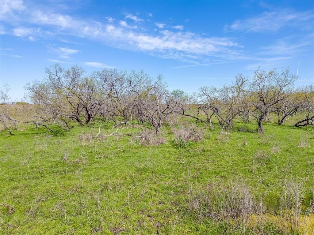 75 acres in Ellis County - photo 7