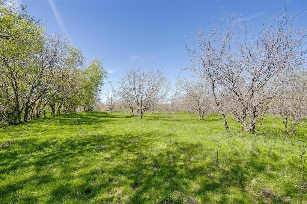 75 acres in Ellis County - photo 15