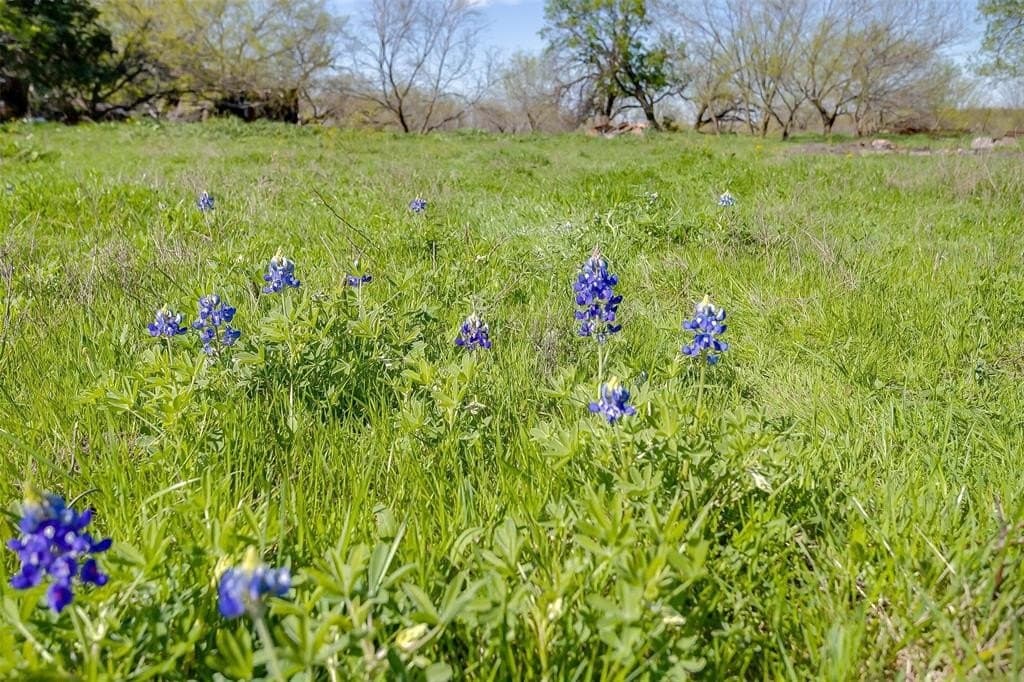 75 acres in Ellis County - photo 18