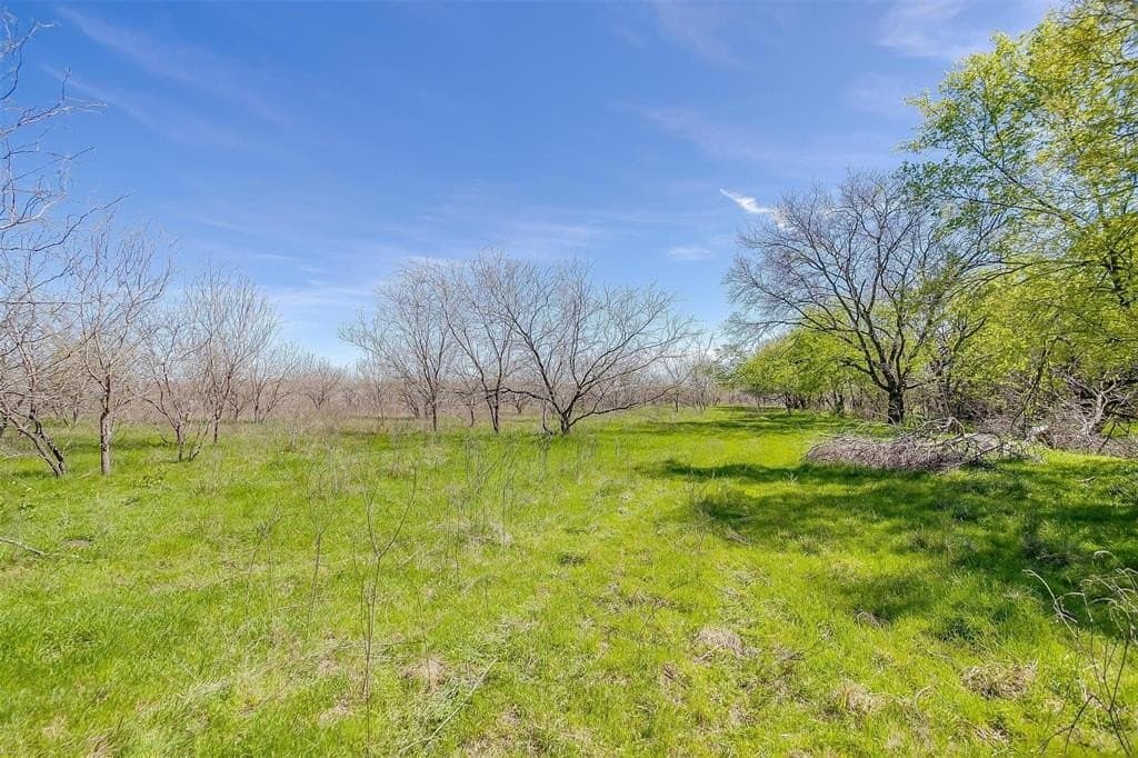 75 acres in Ellis County - photo 13