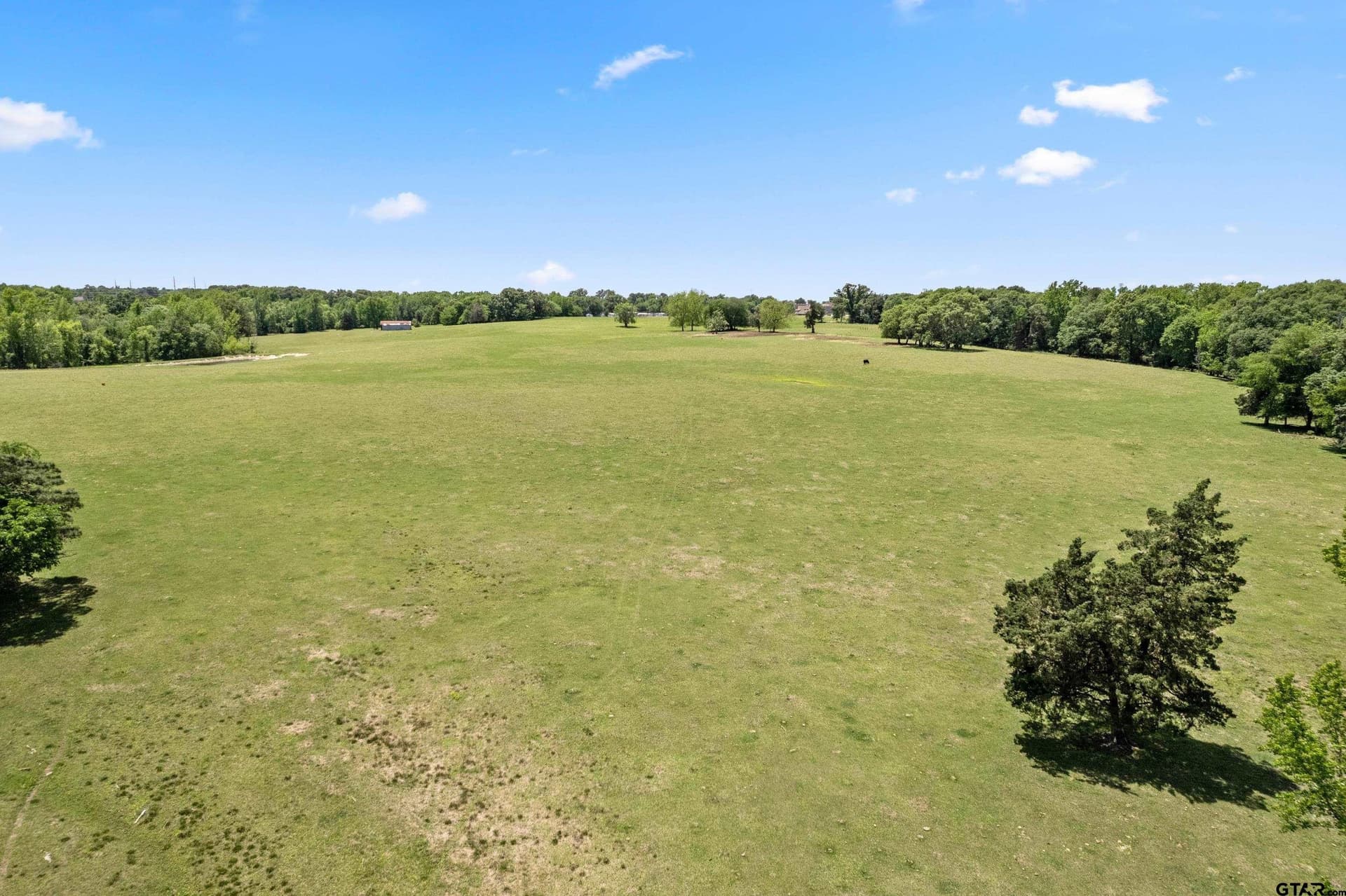 67.5 acres in Titus County - photo 20