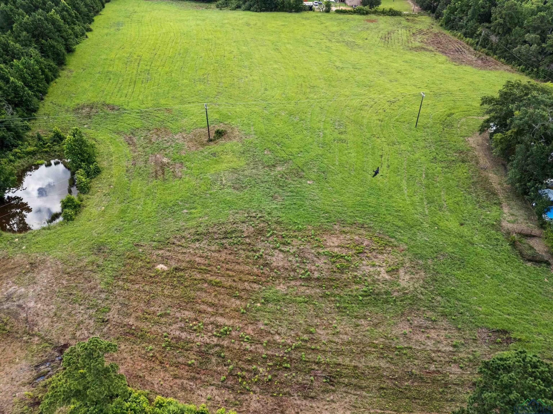 17.24 acres in Rusk County - photo 17