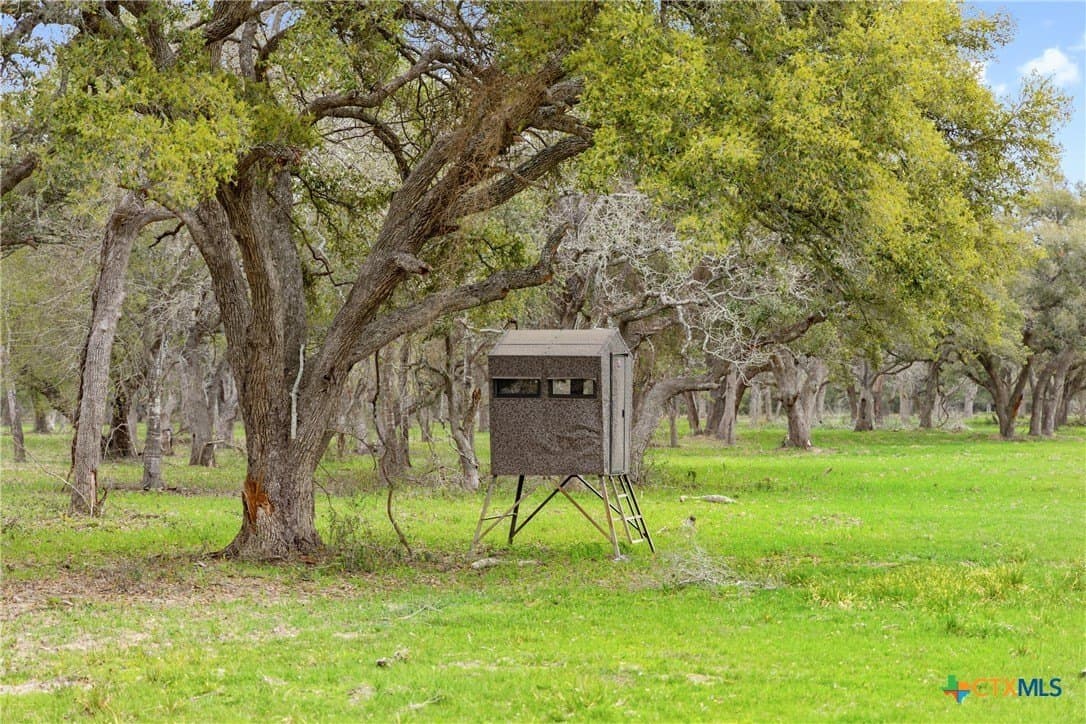 119.86 acres in Jackson County - photo 7