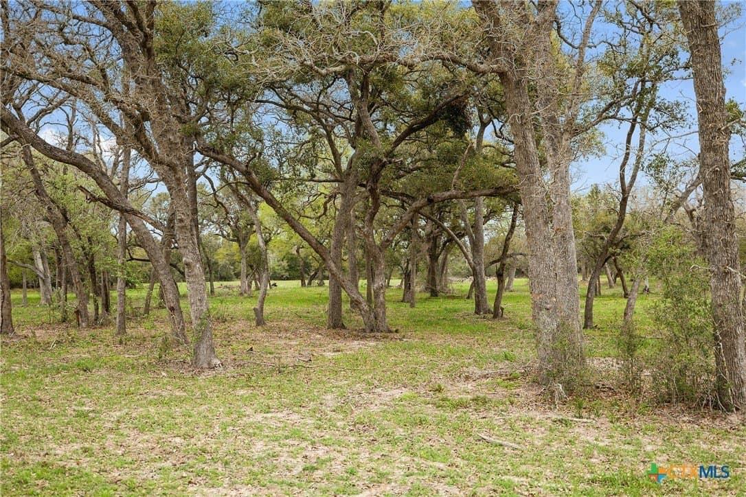 119.86 acres in Jackson County - photo 6