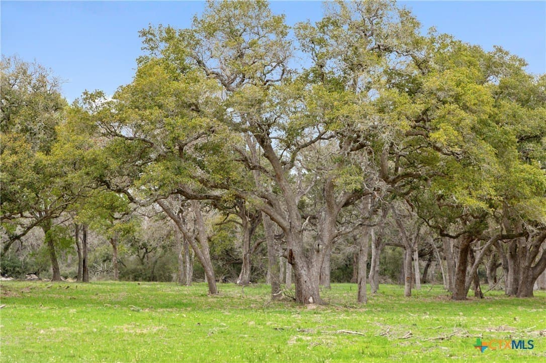 119.86 acres in Jackson County - photo 10