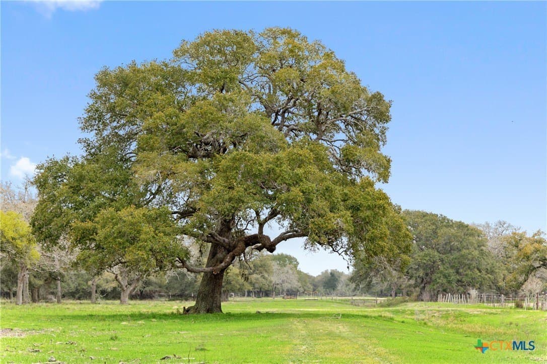 119.86 acres in Jackson County - photo 9