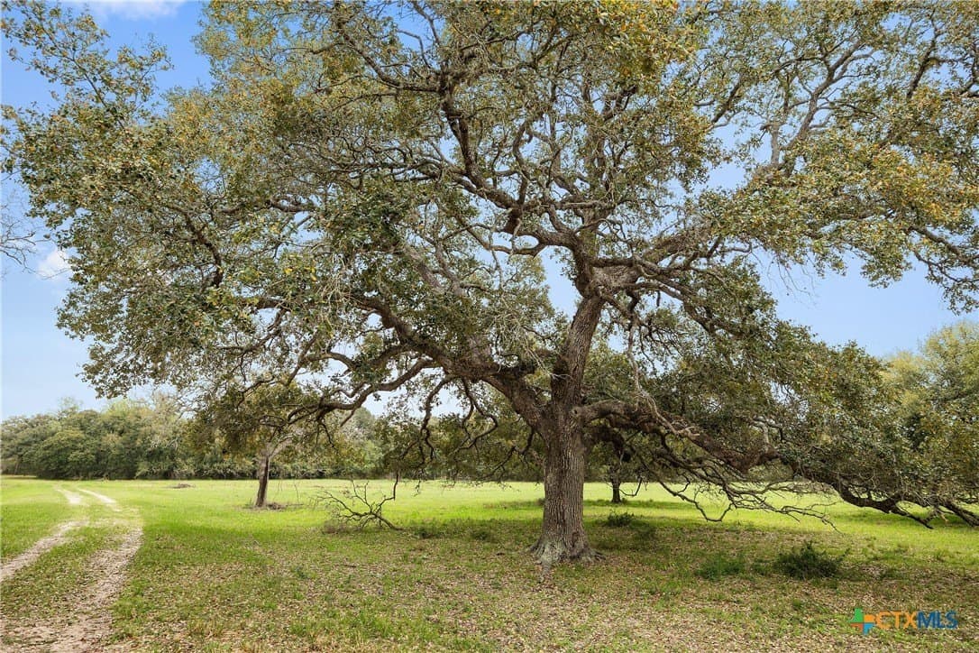 119.86 acres in Jackson County - photo 5